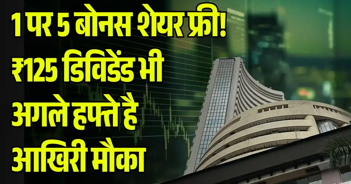 Bonus and Dividend Stock November Third Week